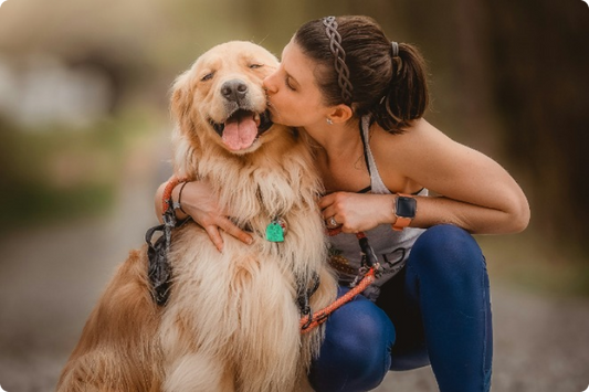 Here's what we've learnt from serving 500,000+ meals at K9 Heaven