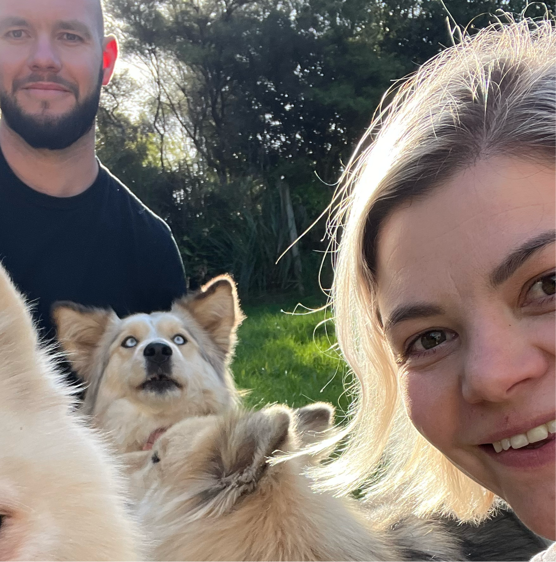 Why We Started Happy Hour (And What It’s Taught Us About Dogs and Life)