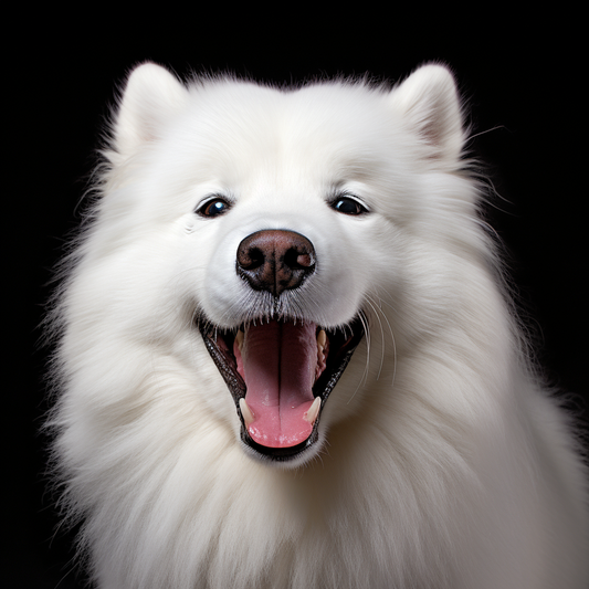 Hey Dog Parents Who Feels Guilty Leaving Their Pup - listen in