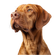 block_img_ymU6fg