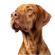 block_img_ymU6fg